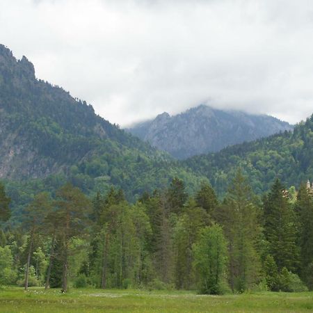 Bergmomente Neuschwanstein Schwangau Exterior foto